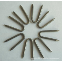 Iron U-Shape Nail in High Quality